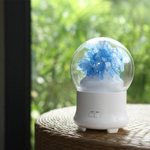 Load image into Gallery viewer, 100ml Ultrasonic Aromatherapy Diffuser Vaporizer Ultrasonic Cool Mist Humidifier for Office