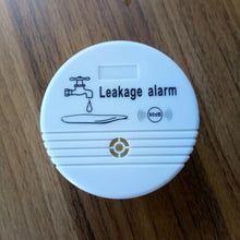 Load image into Gallery viewer, 2017