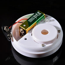 Load image into Gallery viewer, 2017